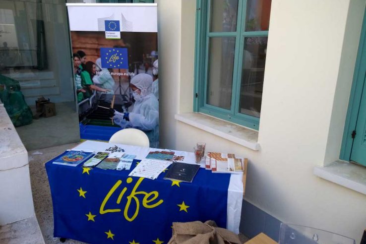 IMG_20180613_173451274