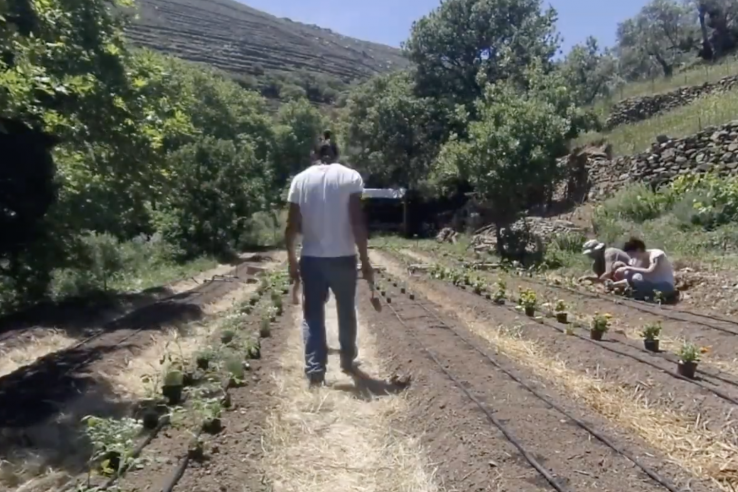 Screen Shot 2020-01-22 at 20.23.36