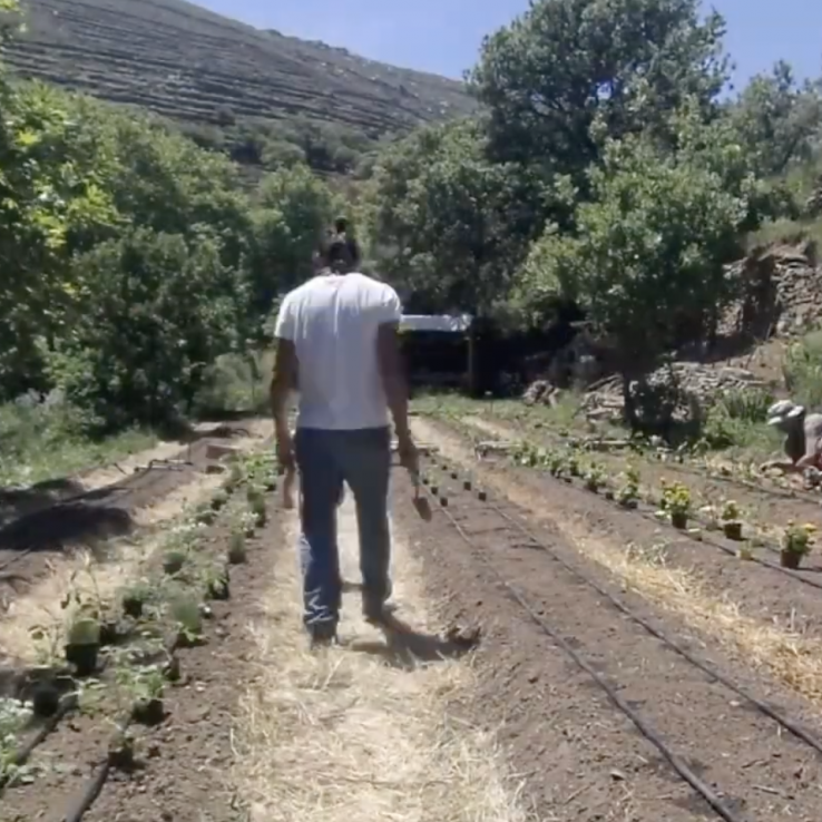 Screen Shot 2020-01-22 at 20.23.36