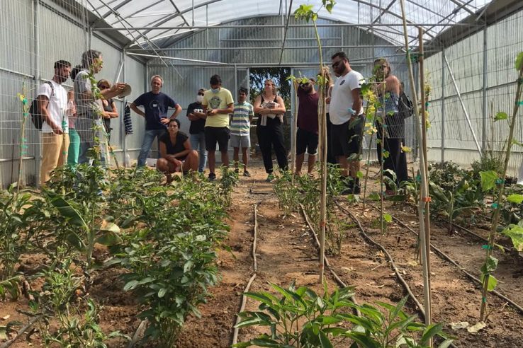 WhatsApp Image 2020-09-10 at 11.33.31 AM