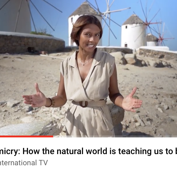 Screen Shot 2021-02-01 at 16.53.02