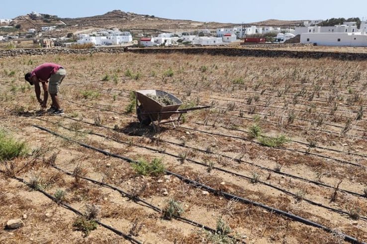 329143999_585629923015369_5032900220195528819_n